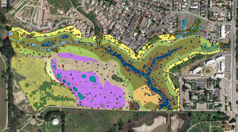 NCOS bird survey results (https://www.ccber.ucsb.edu/news-events/keeping-tabs-ncos-birdlife)